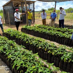 Sustainable territorial development in Mapiripán Image 6